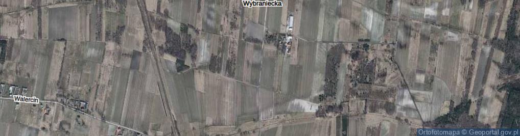 Zdjęcie satelitarne Wólka Wybraniecka ul.